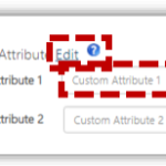 Edit Custom Attributes Screenshot